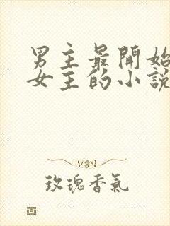 男主最开始讨厌女主的小说