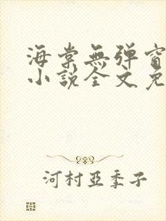 海棠无弹窗广告小说全文免费阅读