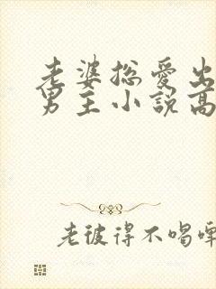 老婆总爱出轨双男主小说高h双男主