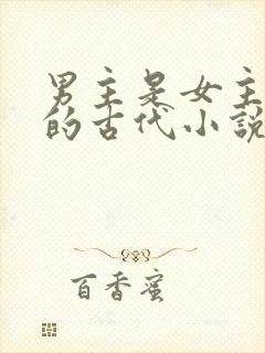 男主是女主护卫的古代小说