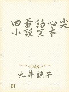 四爷的心尖宠妃小说完本