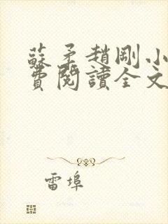 苏柔赵刚小说免费阅读全文