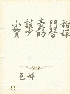 小说豪门甜宠:贺少的替嫁新娘