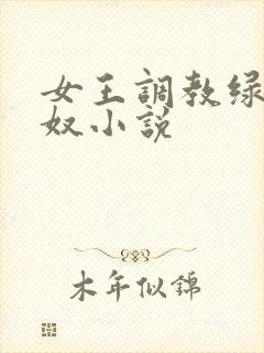 女王调教绿帽锁奴小说