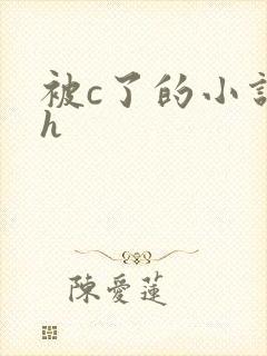 被c了的小说高h