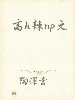 高h辣np文