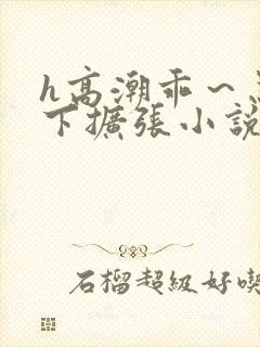 h高潮乖～忍一下扩张小说