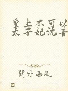 皇上不可以我是太子妃沈音的小说叫