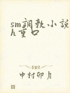 sm调教小说高h重口