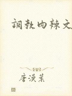 调教肉辣文封面