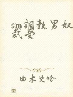 sm调教男奴总裁受