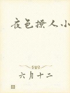 夜色撩人小说封面