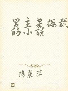 男主是总裁姓沈的小说封面