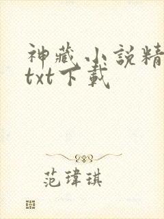 神藏小说精校版txt下载封面