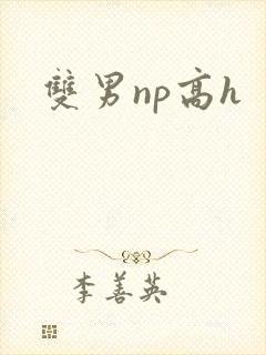 双男np高h封面