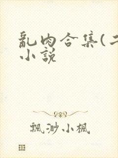 乱肉合集(二)小说