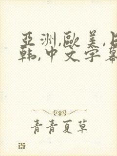 亚洲,欧美,日韩,中文字幕封面