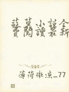 苏莫小说全文免费阅读最新章节封面