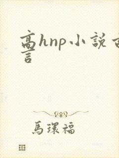 高hnp小说古言