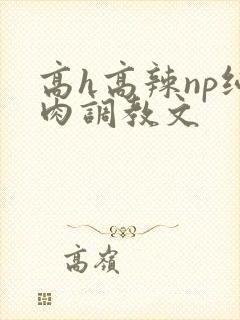 高h高辣np纯肉调教文