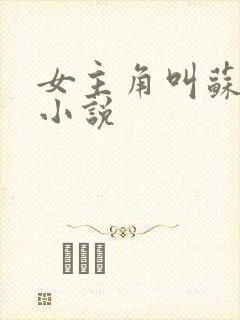 女主角叫苏璃的小说