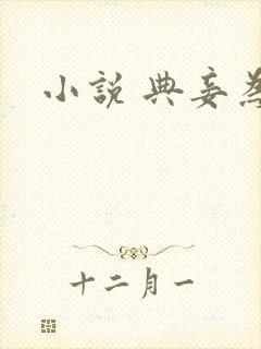 小说 典妾为妻封面