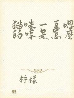 猫咪一直嗯嗯嗯的哼是怎么了封面