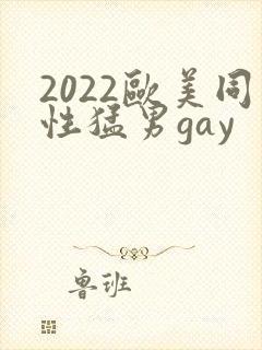 2022欧美同性猛男gay