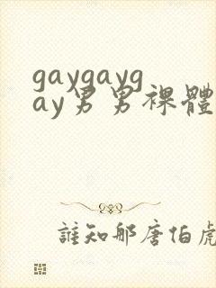 gaygaygay男男裸体封面