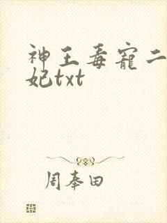 神王毒宠二嫁王妃txt