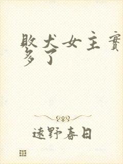 败犬女主实在太多了封面