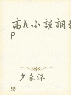 高h小说调教np封面