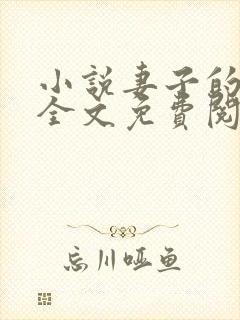 小说妻子的秘密全文免费阅读全文封面