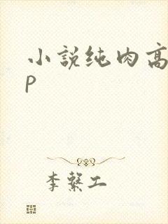 小说纯肉高hnp