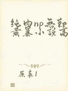 纯肉np无节操黄暴小说高h