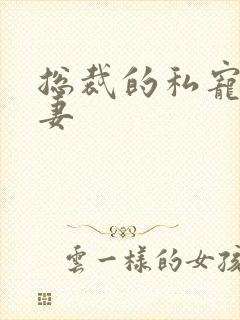 总裁的私宠小娇妻