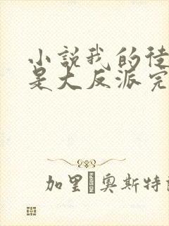 小说我的徒弟都是大反派完本