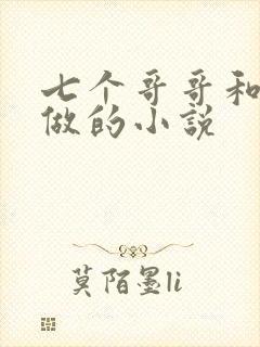 七个哥哥和妹妹做的小说封面