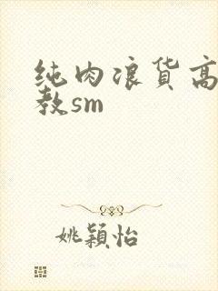 纯肉浪货高h调教sm