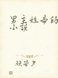 男主姓帝的现代小说