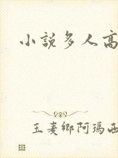 小说多人高h