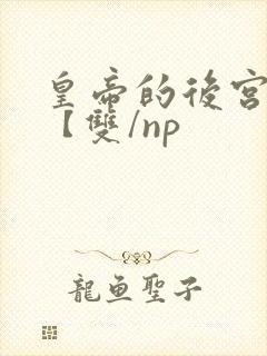 皇帝的后宫日常【双/np