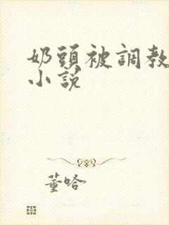 奶头被调教大的小说