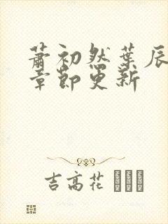 萧初然叶辰最新章节更新封面