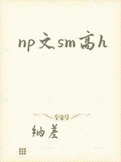 np文sm高h