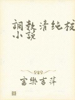 调教清纯校花h小说封面