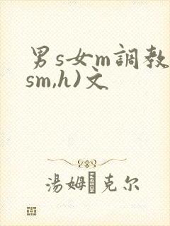 男s女m调教(sm,h)文