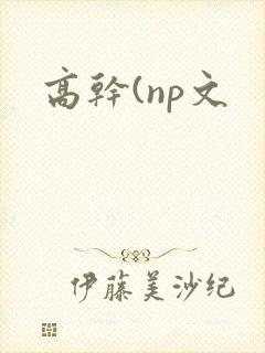 高干(np文