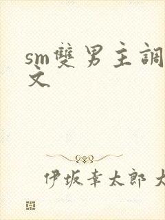 sm双男主调教文