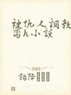 被仇人调教成禁脔h小说